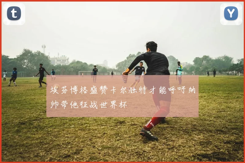 埃芬博格盛赞卡尔独特才能呼吁纳帅带他征战世界杯